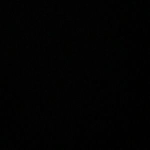 Meet your Posher, King